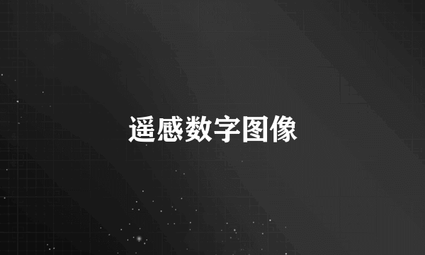 遥感数字图像