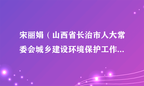 宋丽娟（山西省长治市人大常委会城乡建设环境保护工作委员会副主任）