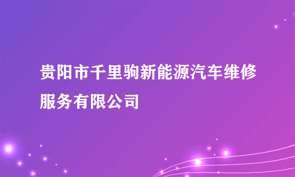 贵阳市千里驹新能源汽车维修服务有限公司