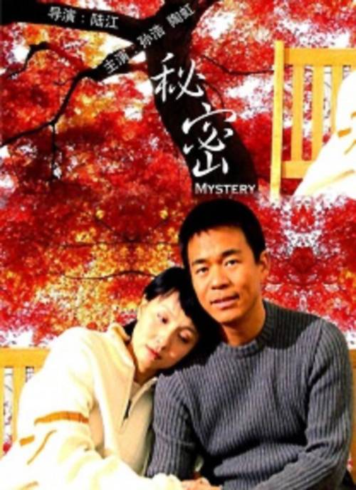 秘密（2004年陆江执导的电视电影）