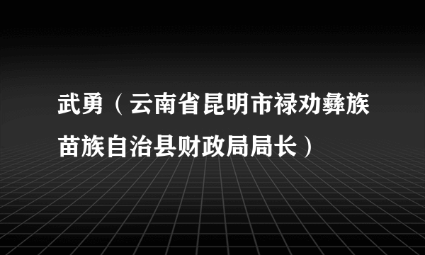 武勇（云南省昆明市禄劝彝族苗族自治县财政局局长）