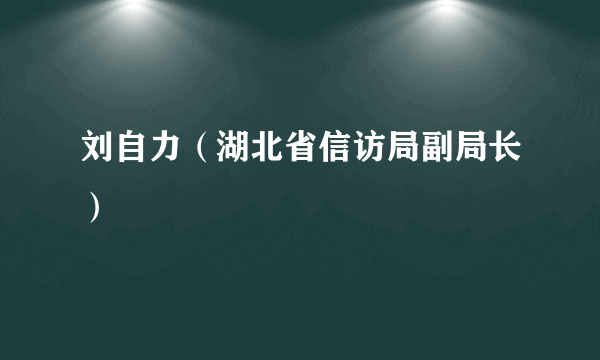 刘自力（湖北省信访局副局长）