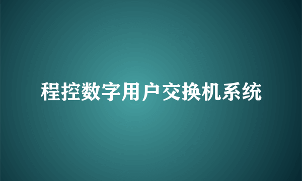 程控数字用户交换机系统