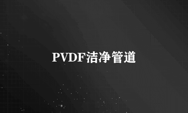 PVDF洁净管道