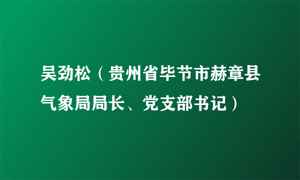 吴劲松（贵州省毕节市赫章县气象局局长、党支部书记）