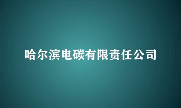 哈尔滨电碳有限责任公司