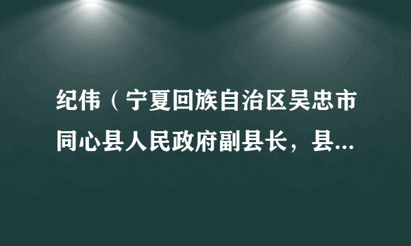 纪伟（宁夏回族自治区吴忠市同心县人民政府副县长，县公安局局长）