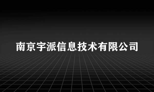 南京宇派信息技术有限公司