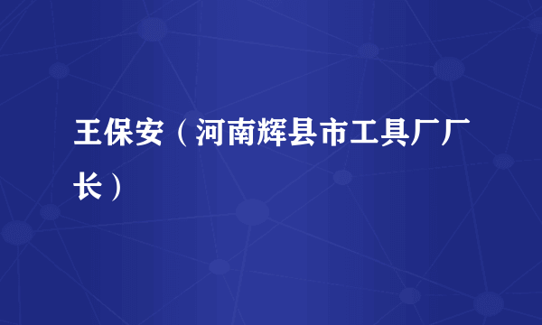 王保安（河南辉县市工具厂厂长）