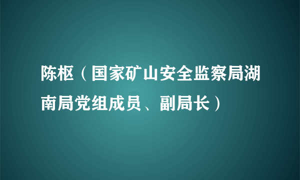 陈枢（国家矿山安全监察局湖南局党组成员、副局长）