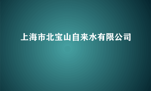 上海市北宝山自来水有限公司