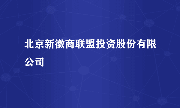 北京新徽商联盟投资股份有限公司