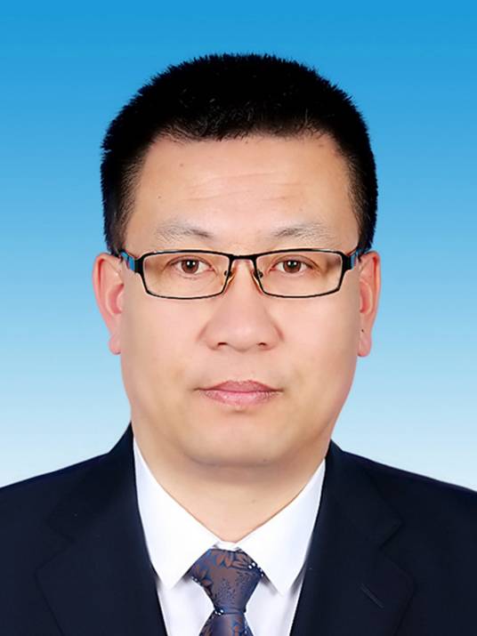 李伟民（黑龙江省伊春市纪委常委、市委巡察办主任、三级高级监察官）