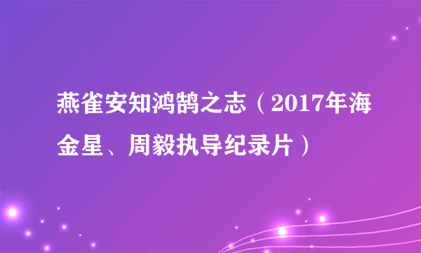 燕雀安知鸿鹄之志（2017年海金星、周毅执导纪录片）