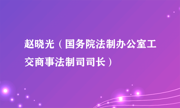 赵晓光（国务院法制办公室工交商事法制司司长）