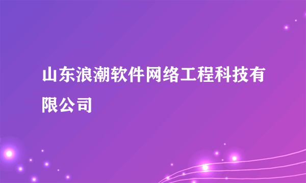 山东浪潮软件网络工程科技有限公司