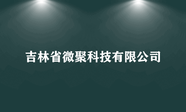 吉林省微聚科技有限公司