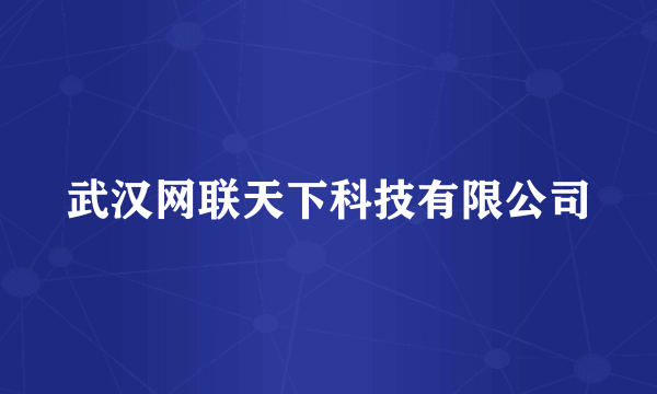 武汉网联天下科技有限公司