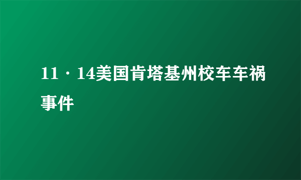 11·14美国肯塔基州校车车祸事件