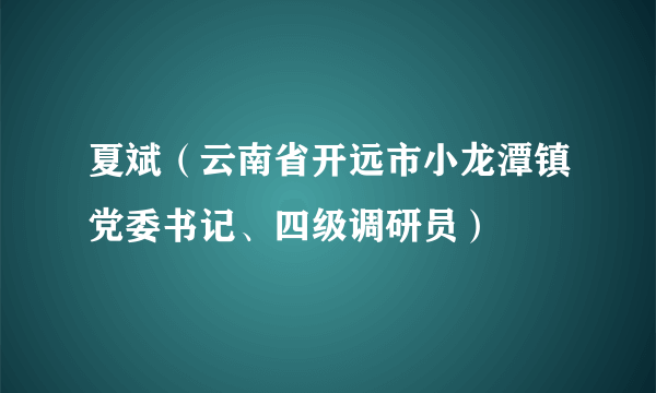 夏斌（云南省开远市小龙潭镇党委书记、四级调研员）