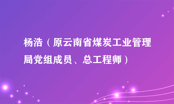 杨浩（原云南省煤炭工业管理局党组成员、总工程师）