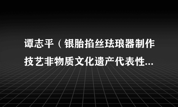 谭志平（银胎掐丝珐琅器制作技艺非物质文化遗产代表性传承人）