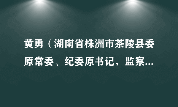 黄勇（湖南省株洲市茶陵县委原常委、纪委原书记，监察委原主任）