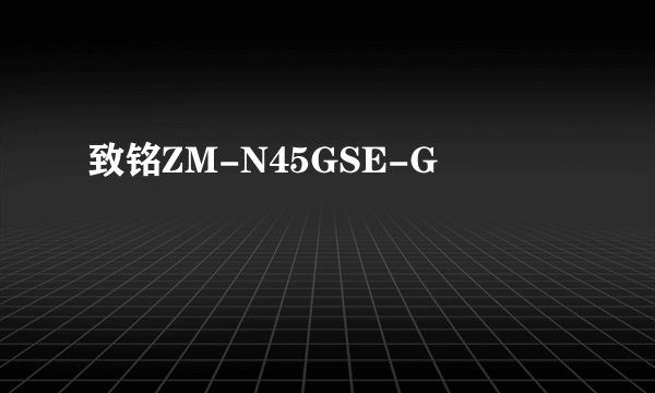 致铭ZM-N45GSE-G