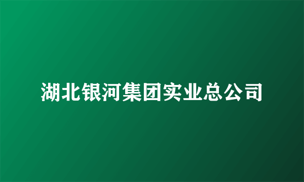 湖北银河集团实业总公司