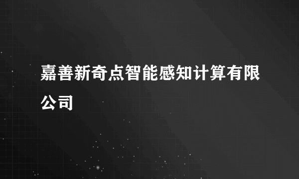 嘉善新奇点智能感知计算有限公司