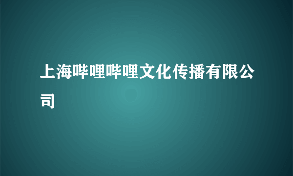 上海哔哩哔哩文化传播有限公司