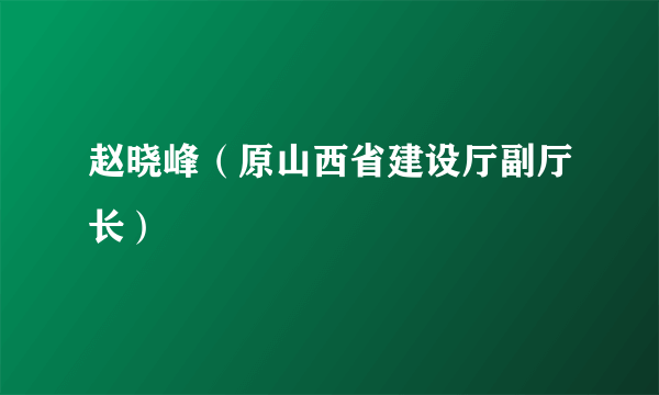 赵晓峰（原山西省建设厅副厅长）