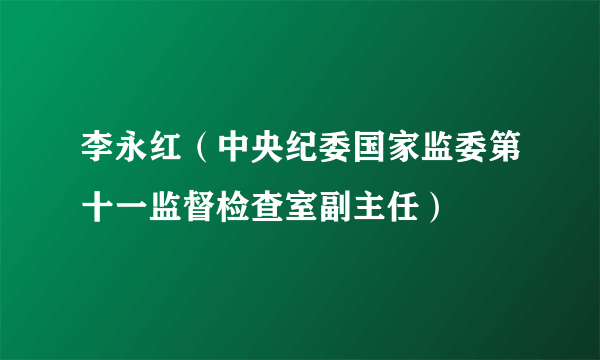 李永红（中央纪委国家监委第十一监督检查室副主任）