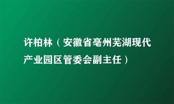 许柏林（安徽省亳州芜湖现代产业园区管委会副主任）