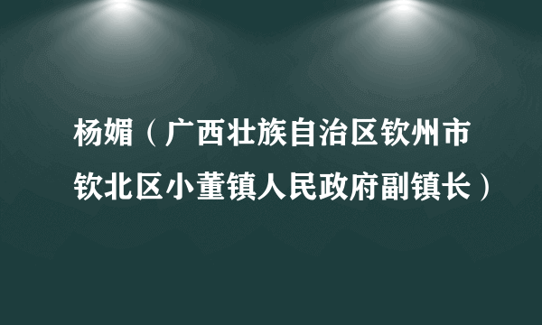 杨媚（广西壮族自治区钦州市钦北区小董镇人民政府副镇长）