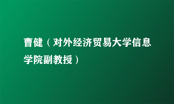 曹健（对外经济贸易大学信息学院副教授）