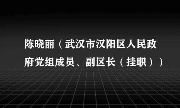 陈晓丽（武汉市汉阳区人民政府党组成员、副区长（挂职））