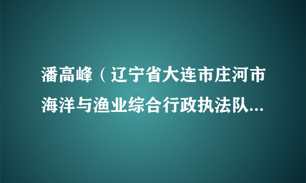 潘高峰（辽宁省大连市庄河市海洋与渔业综合行政执法队渔政执法室检查员）