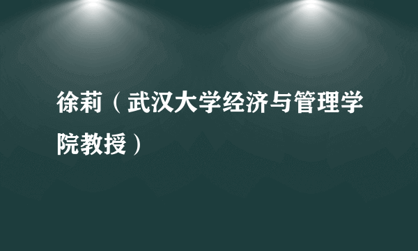 徐莉（武汉大学经济与管理学院教授）