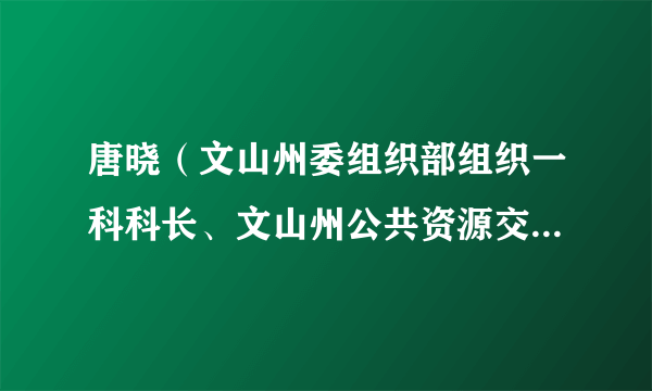 唐晓（文山州委组织部组织一科科长、文山州公共资源交易管理局局长）