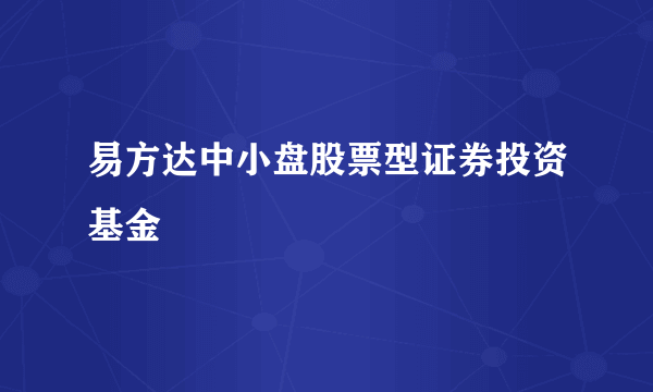 易方达中小盘股票型证券投资基金