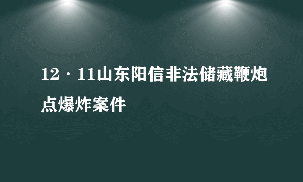 12·11山东阳信非法储藏鞭炮点爆炸案件