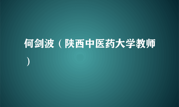 何剑波（陕西中医药大学教师）