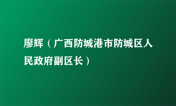 廖辉（广西防城港市防城区人民政府副区长）