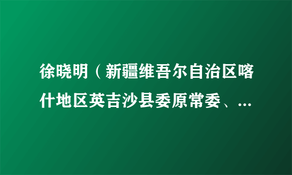 徐晓明（新疆维吾尔自治区喀什地区英吉沙县委原常委、组织部长）