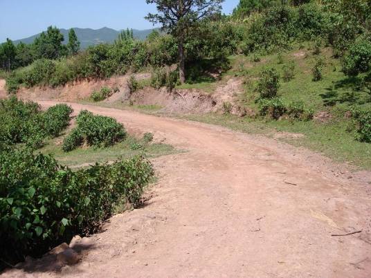 黄土坡村（云南省曲靖市马龙县旧县镇黄土坡村）