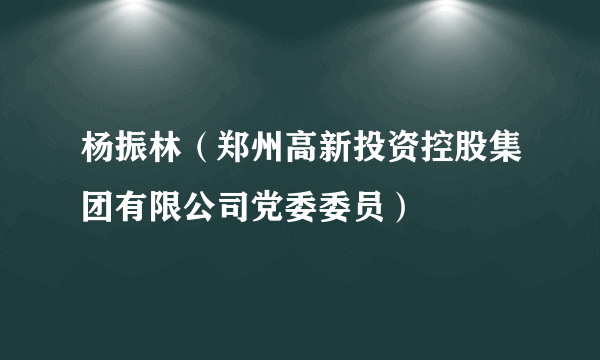 杨振林（郑州高新投资控股集团有限公司党委委员）