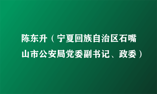 陈东升（宁夏回族自治区石嘴山市公安局党委副书记、政委）