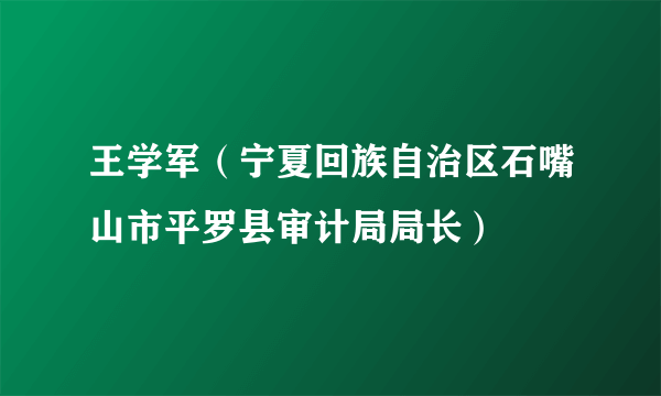 王学军（宁夏回族自治区石嘴山市平罗县审计局局长）