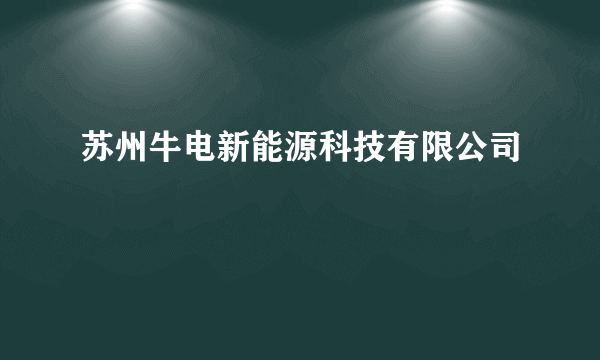 苏州牛电新能源科技有限公司